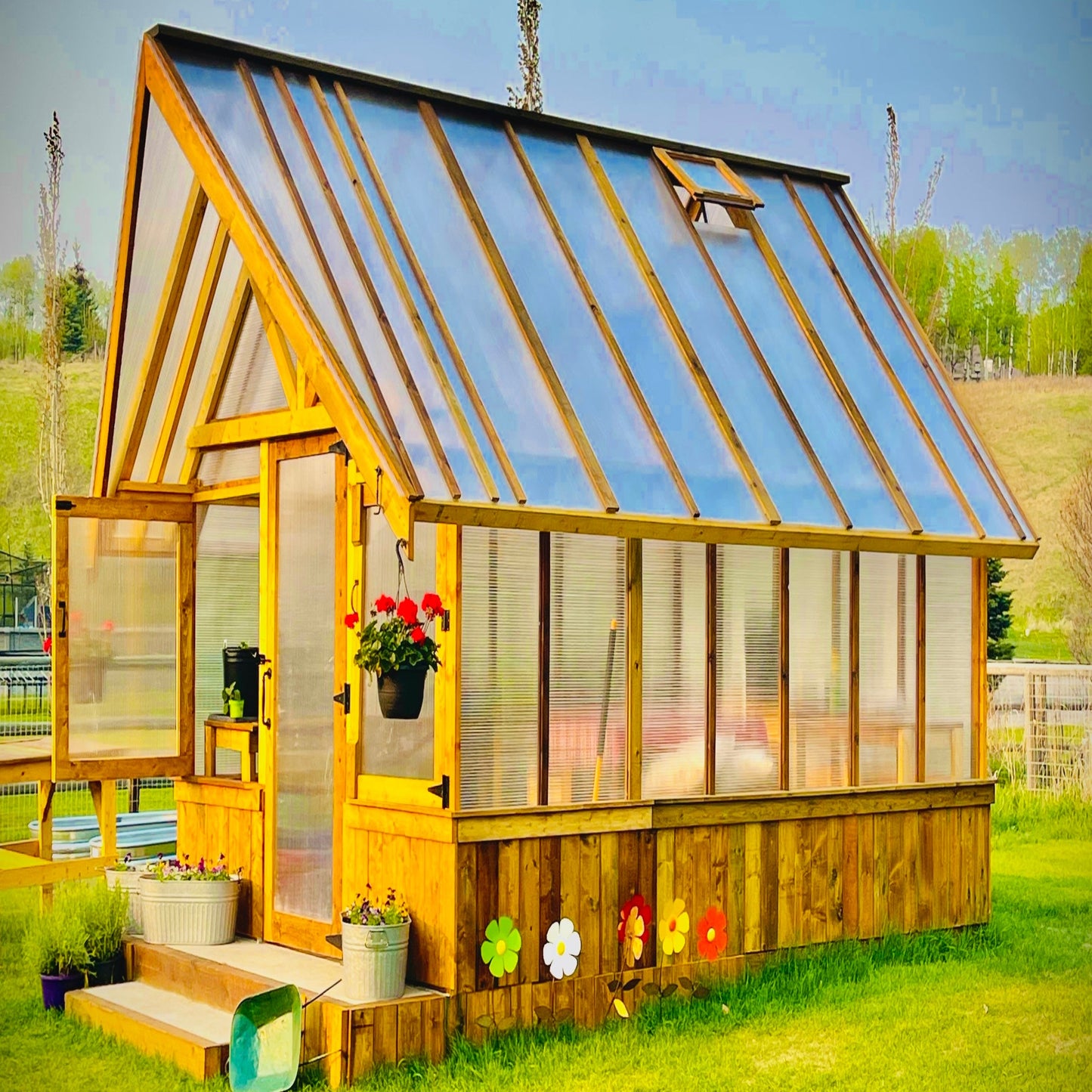 Spacious walk-in greenhouse featuring clear polycarbonate panels and sturdy aluminum frame, perfect for backyard gardening