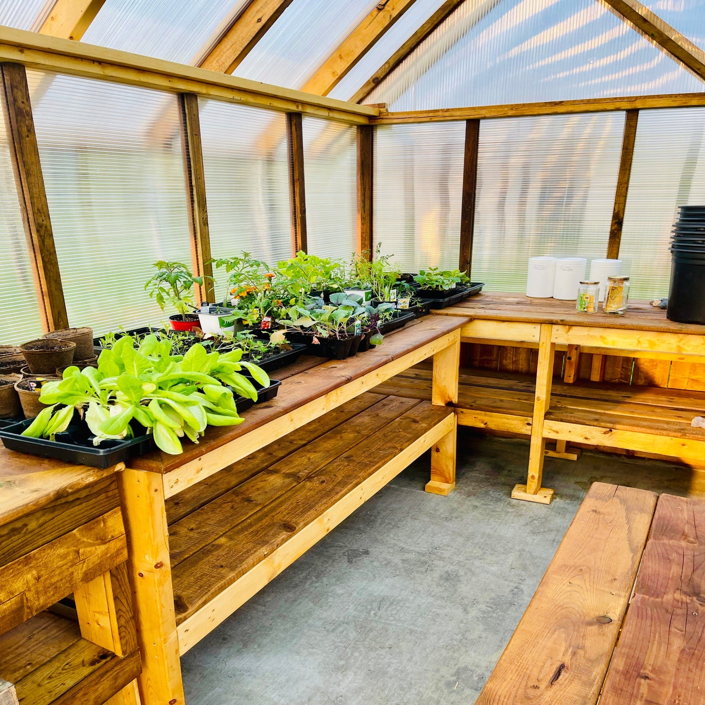 Rustic-style greenhouse with wooden frame and clear panels, blending functionality with garden charm