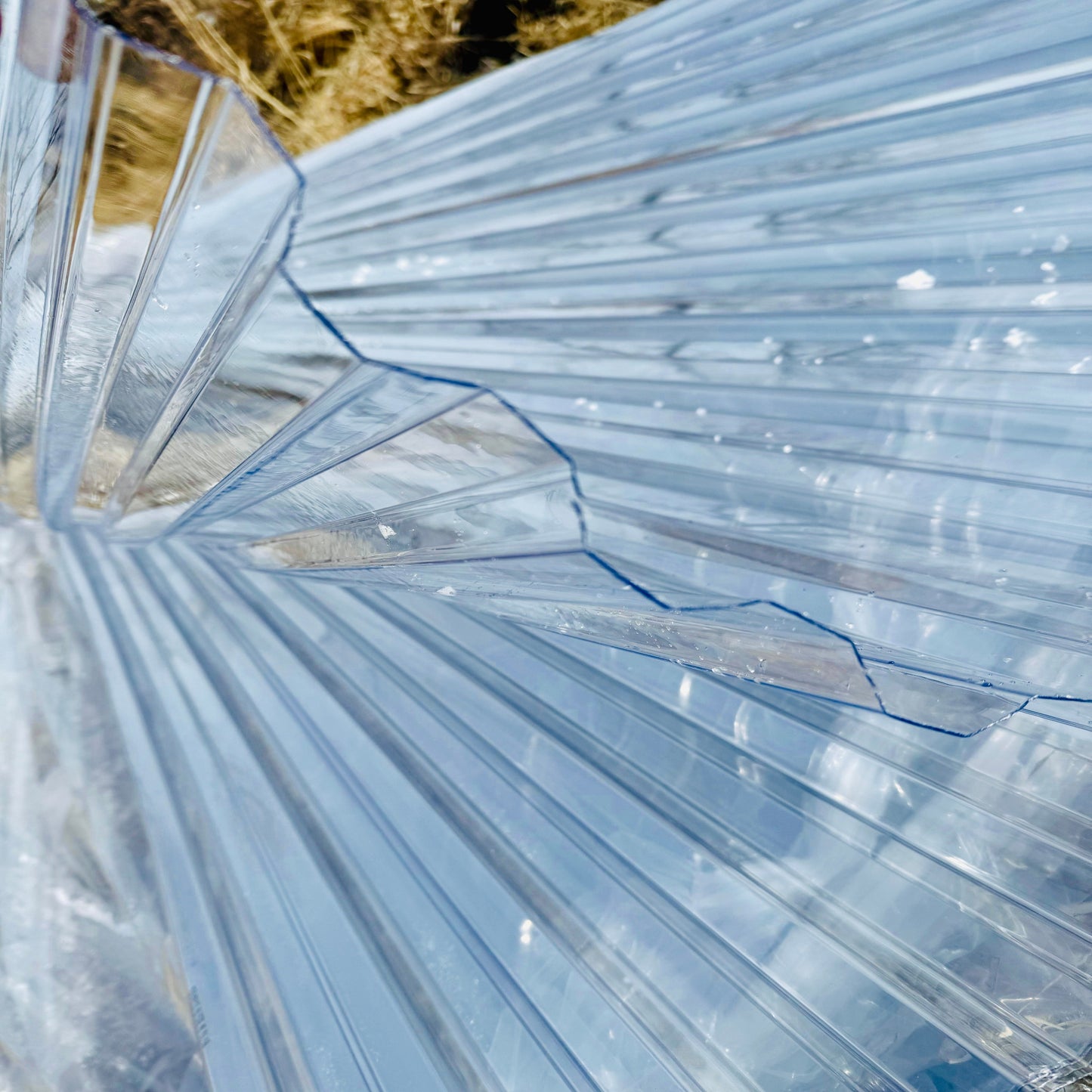 Impact-resistant clear panel for greenhouse enclosures